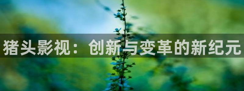 人人 草人人高清视频