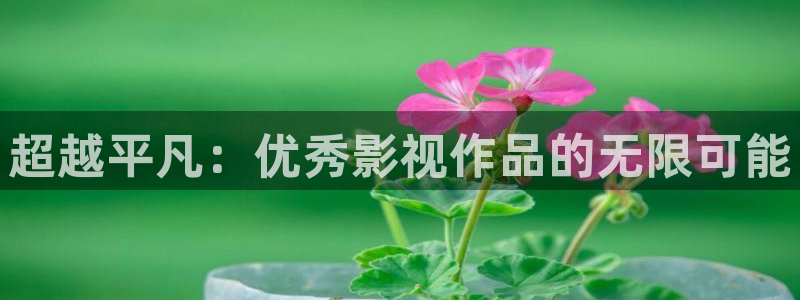 超碰97人人干