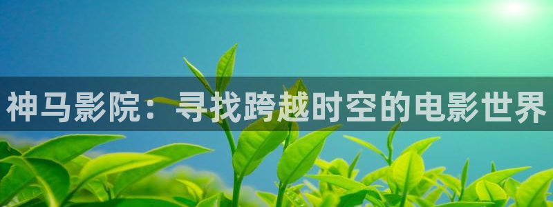 成人网人人电影