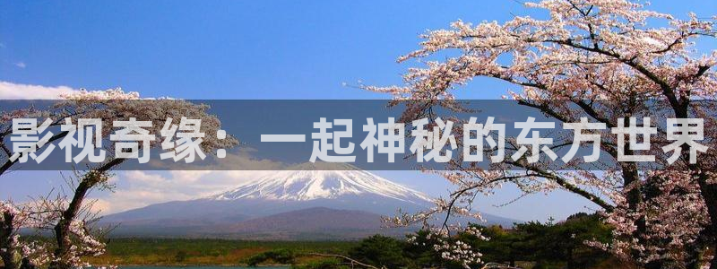 人人超爱碰