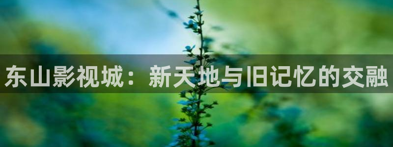 人人电影网