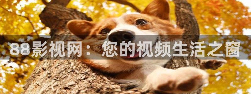 97超碰人人爽人人做