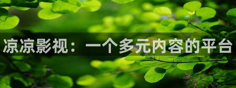 97人人妻视频